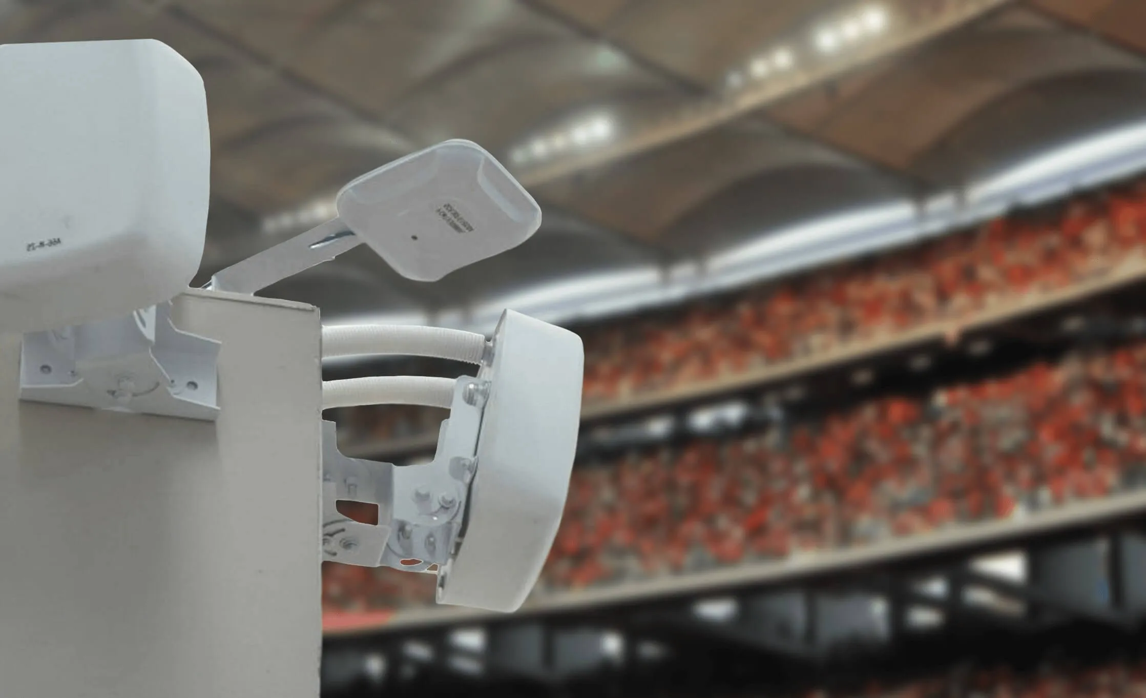 Boingo Wireless será adquirida por Digital Colony por 854 millones de dólares