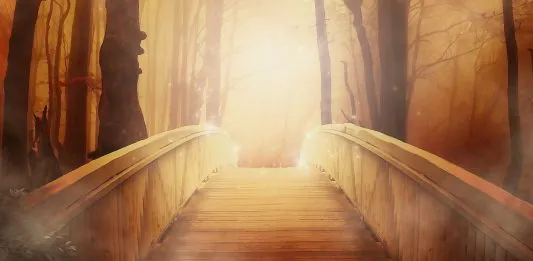 DigitalBridge: ¿Qué infraestructura digital poseen?