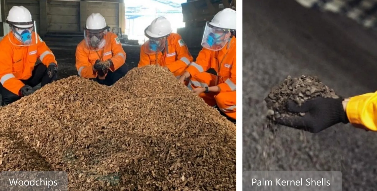 Energía de biomasa Las astillas de madera y las cáscaras de palmiste alimentan biogás Cikarang Listrindo