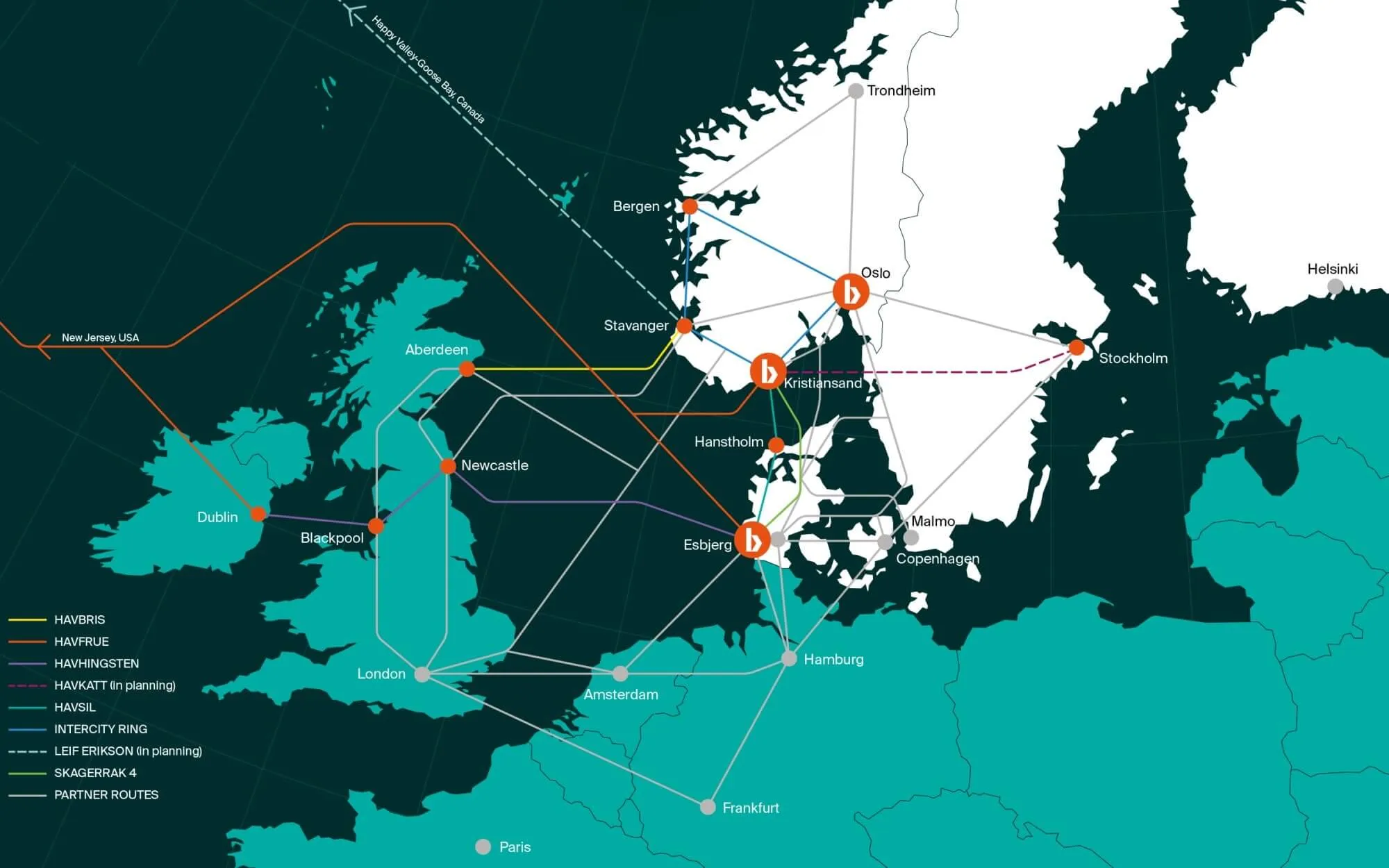 Bulk Infrastructure Subsea Cables and Terrestrial Fiber Map