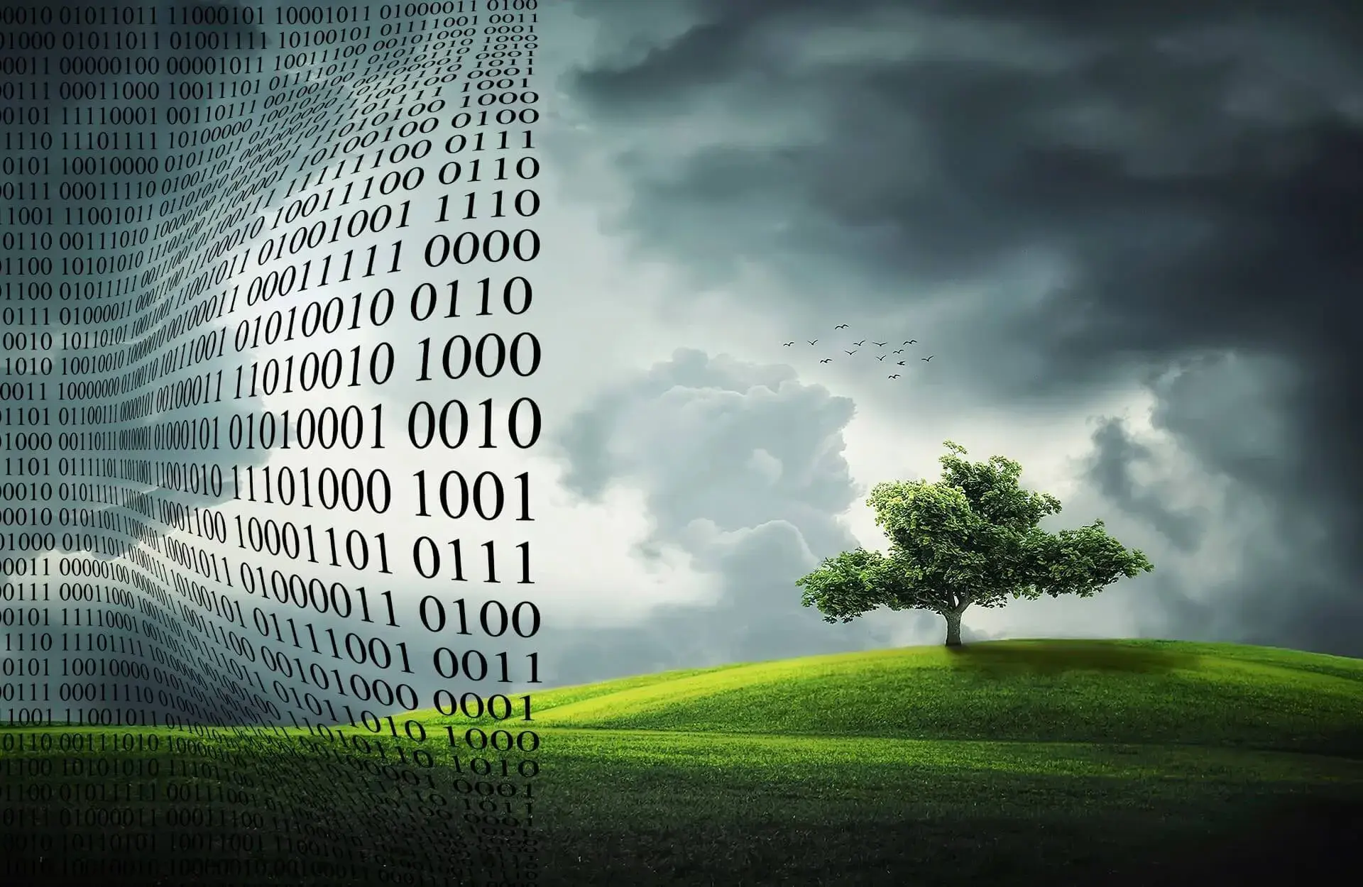 Green Cloud Computing, Data Centers and Technology