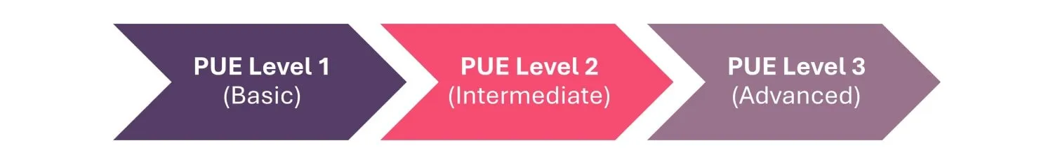 Niveles de Medición de PUE desde 1 2 3 Básico Intermedio Avanzado en formato de Diagrama de Proceso Chevron