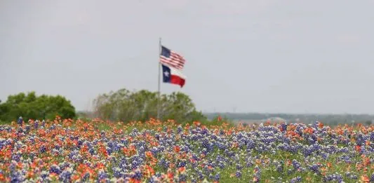 Facebook (Meta) Advances $800m+, 399-Acre Temple, Texas Data Center