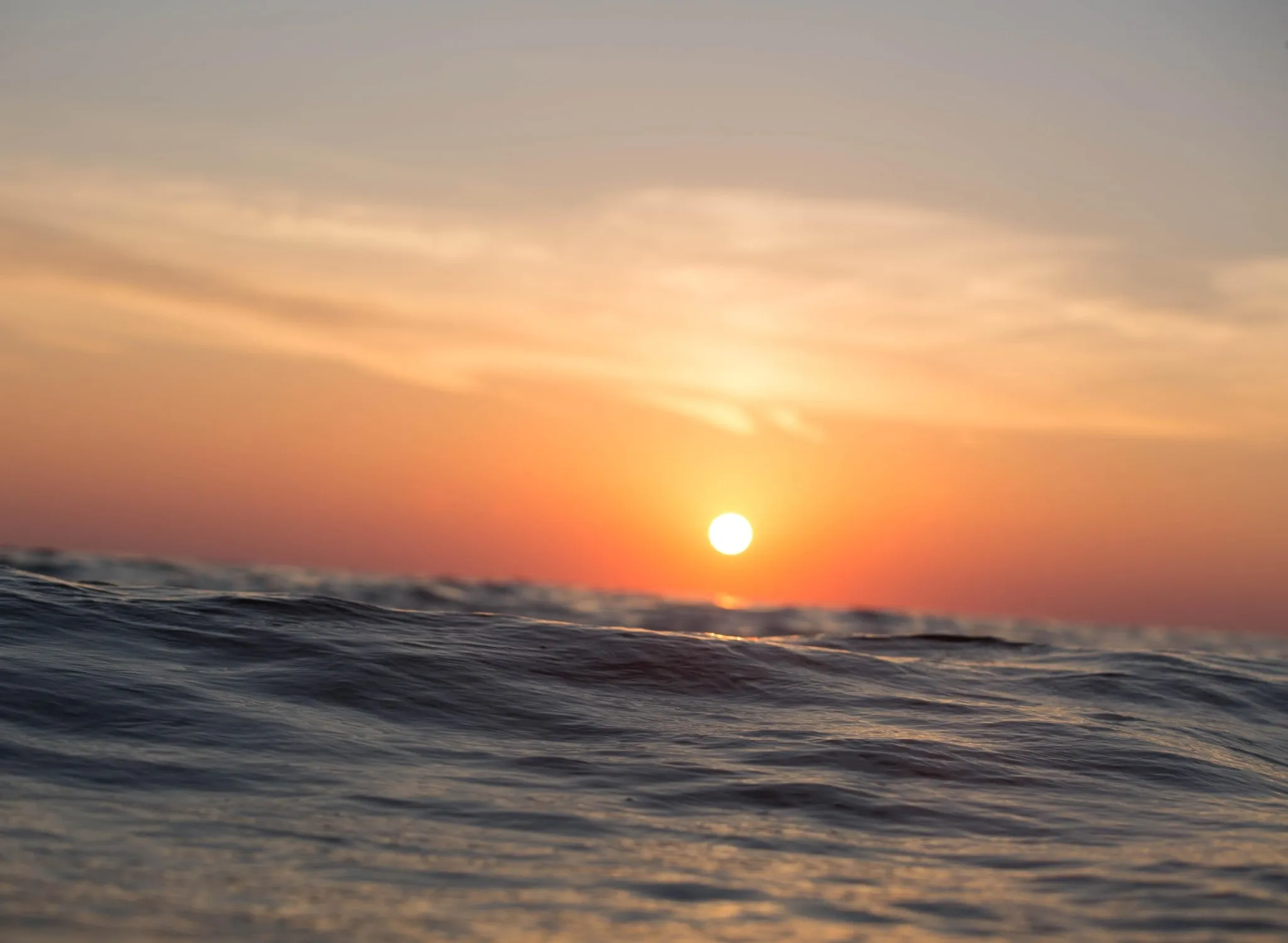 Innovaciones tecnológicas en cables submarinos mostradas por la funda retirada para revelar la fibra